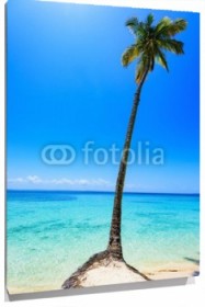 Lienzo Palmera en la playa